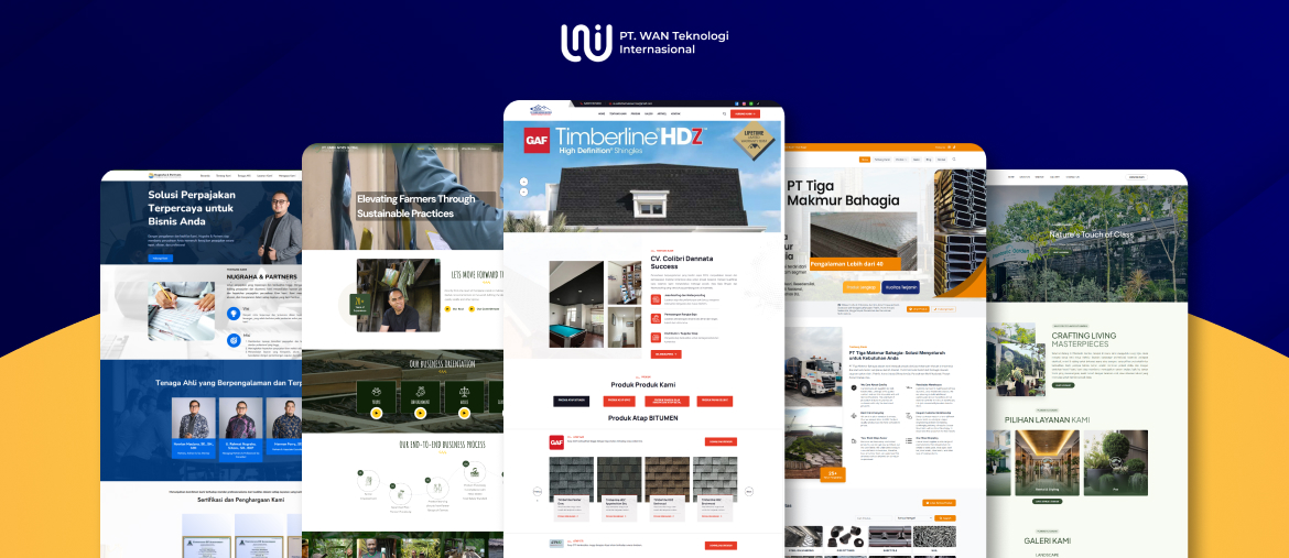 Website Profesional
